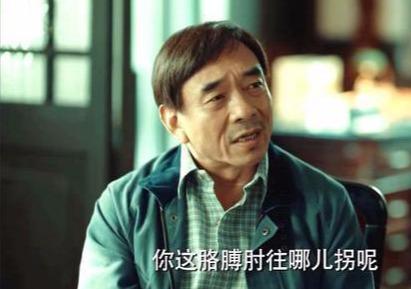 陶泽如演哪些电视剧（再次出演电视剧激荡）(2)