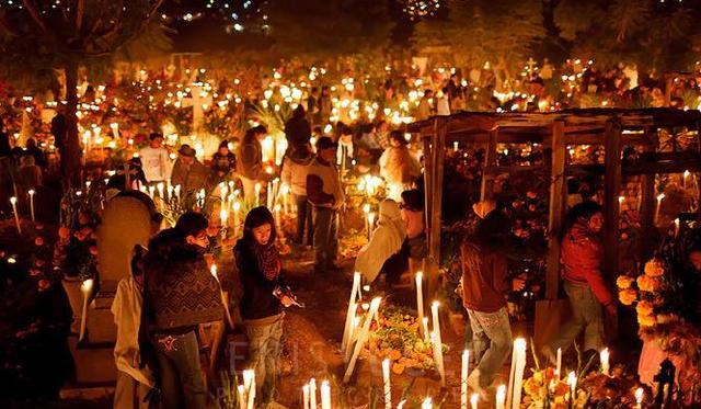 电影生命之树画面分析（生命之书重新定义）(2)