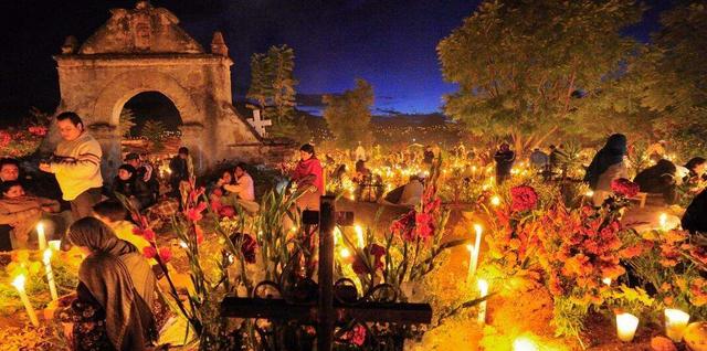 电影生命之树画面分析（生命之书重新定义）(14)