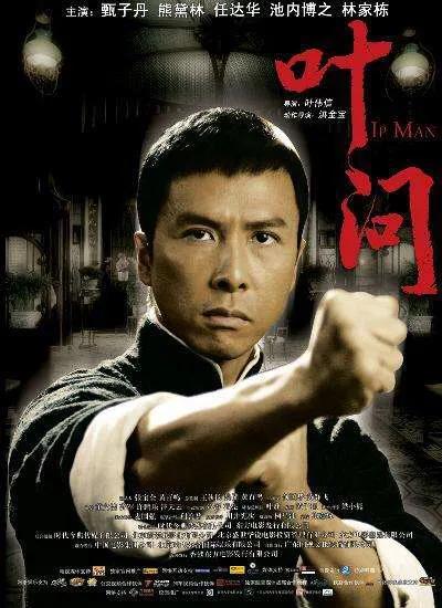 甄子丹动作电影排行榜前十名（从动作明星到动作巨星）(2)