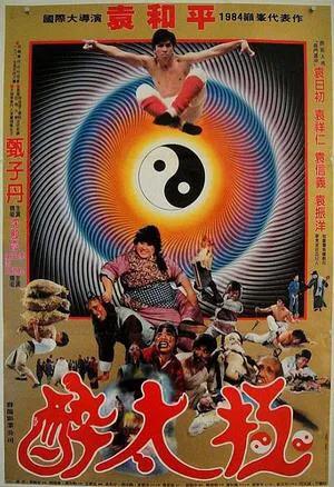 甄子丹动作电影排行榜前十名（从动作明星到动作巨星）(12)