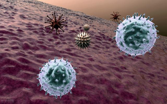 肺腺癌与鳞癌并存有多严重（肺鳞癌和肺腺癌的差异有哪些）(3)