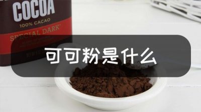 可可粉的作用与副作用(可可粉的作用与副作用有什么)