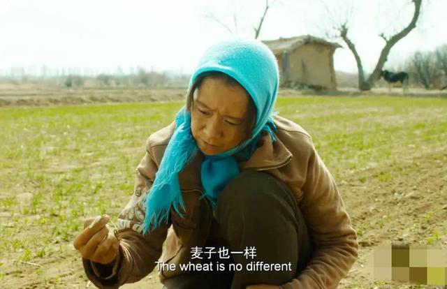 袁泉最欣赏的女演员(素颜最美的10位女演员)(4)