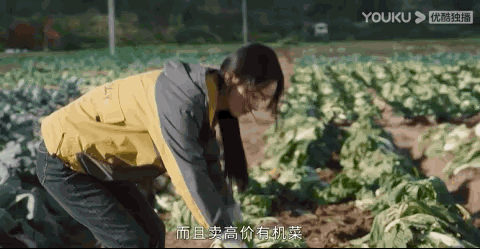 袁泉最欣赏的女演员(素颜最美的10位女演员)(52)