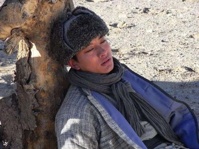 贾乃亮与李小璐今日状况（调侃半个娱乐圈）(13)