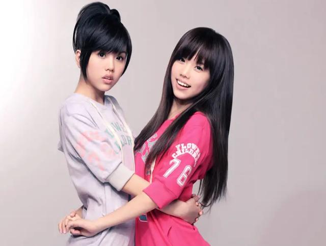 娱乐圈里的十大女明星谁最美(现今却灵气全无)(24)