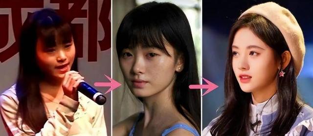 娱乐圈里的十大女明星谁最美(现今却灵气全无)(1)