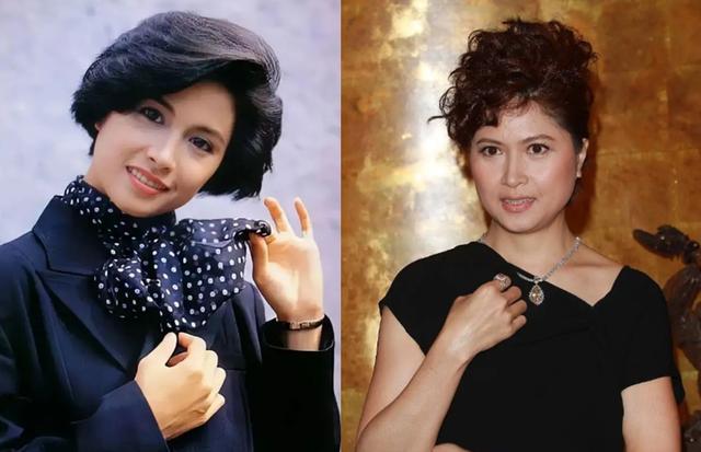 娱乐圈里的十大女明星谁最美(现今却灵气全无)(43)