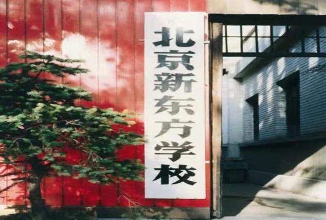 俞敏洪讲述创立新东方背后的故事(从北大辞职到新东方总裁)(9)