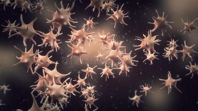 简单看懂血常规报告（三分钟教你看会血常规报告）(3)