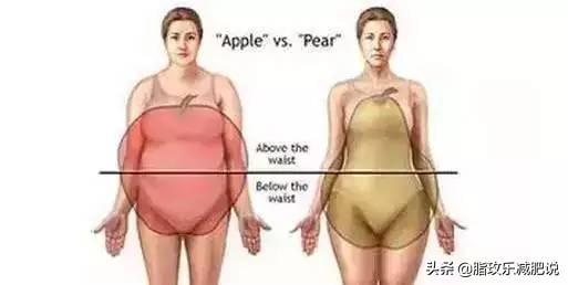 减掉你的大肚腩4个步骤搞定（3种方法甩掉3类大肚子）(2)