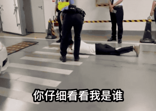 上海地库现天价车祸（上海今年最贵地库车祸）(16)