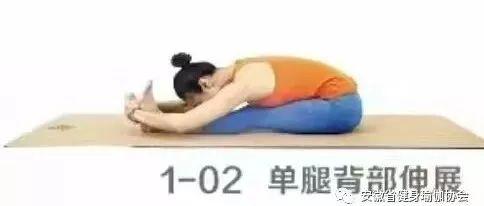 瑜伽健身教程基础课程(零基础入门瑜伽健身教程)(3)