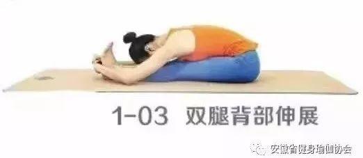 瑜伽健身教程基础课程(零基础入门瑜伽健身教程)(4)