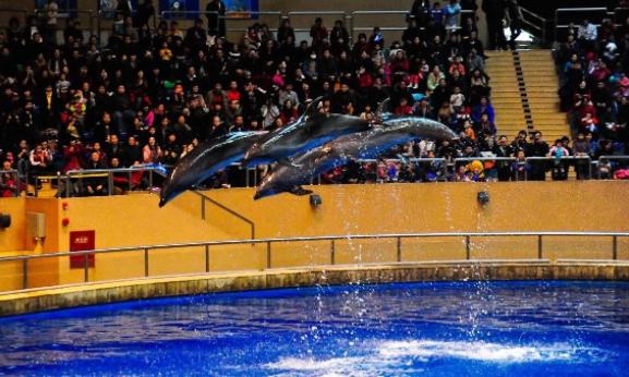 有哪些地方能看到海底世界（北京附近所有海底世界汇总）(2)