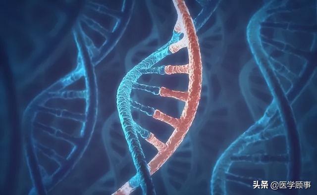 基因编辑原理和方法（重磅基因编辑工具诞生）(2)