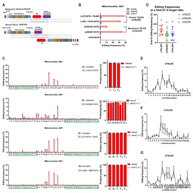 基因编辑原理和方法（重磅基因编辑工具诞生）(4)