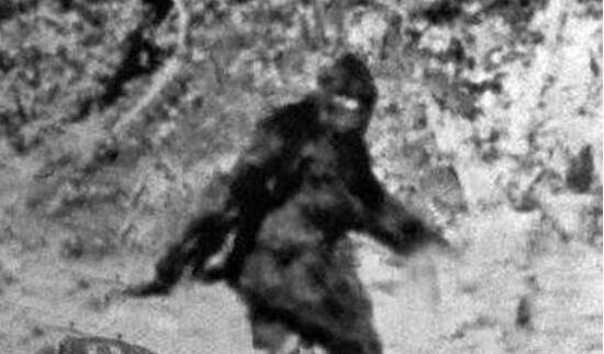 澳大利亚人形兽幽威,浑身被棕色毛发笼罩