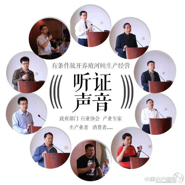 关于河鲀（关于河鲀这5件事你得知道）(1)