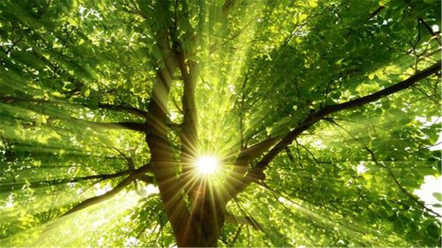 超清晰最美极致桌面壁纸(82张护眼电脑桌面壁纸)(79)