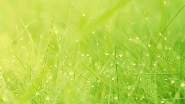 超清晰最美极致桌面壁纸(82张护眼电脑桌面壁纸)(1)