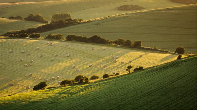 超清晰最美极致桌面壁纸(82张护眼电脑桌面壁纸)(71)