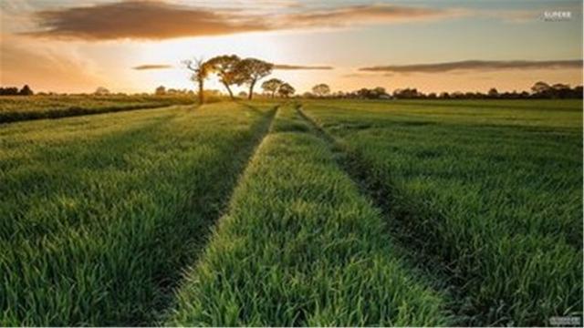 超清晰最美极致桌面壁纸(82张护眼电脑桌面壁纸)(28)