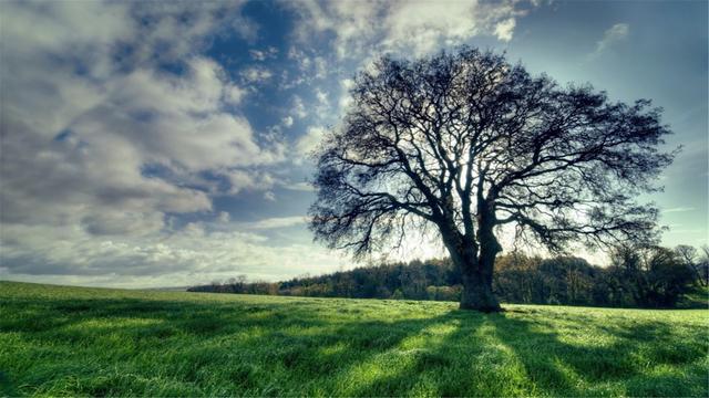 超清晰最美极致桌面壁纸(82张护眼电脑桌面壁纸)(62)