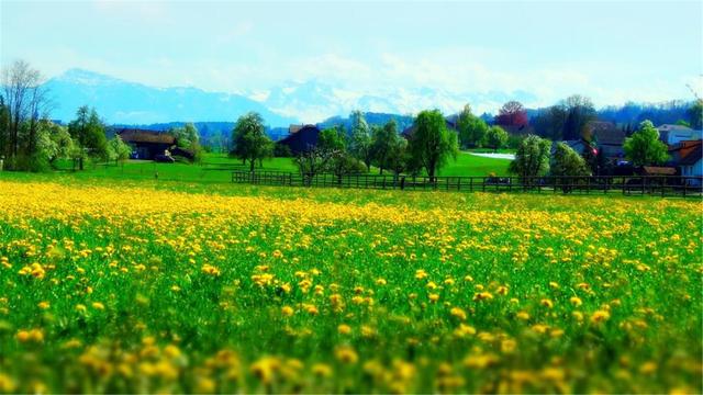 超清晰最美极致桌面壁纸(82张护眼电脑桌面壁纸)(37)