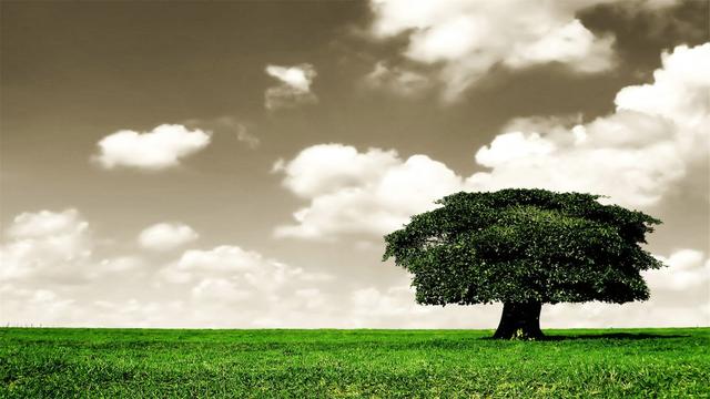 超清晰最美极致桌面壁纸(82张护眼电脑桌面壁纸)(5)