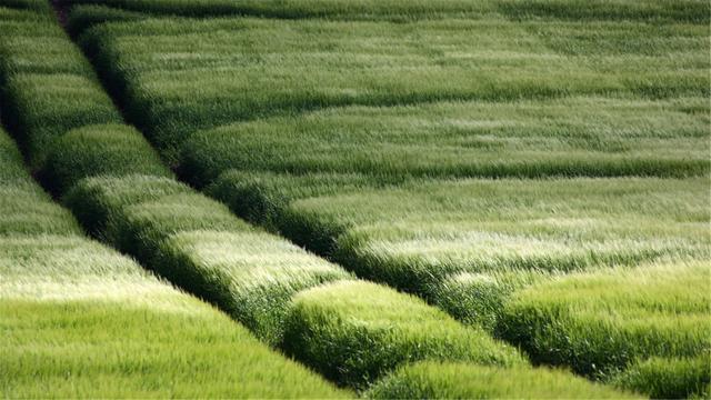 超清晰最美极致桌面壁纸(82张护眼电脑桌面壁纸)(66)