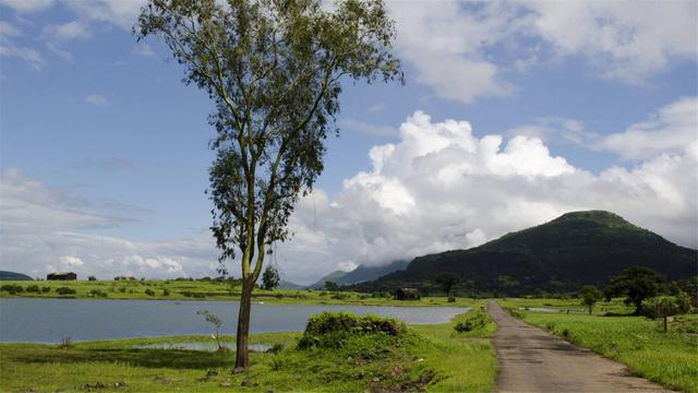 超清晰最美极致桌面壁纸(82张护眼电脑桌面壁纸)(15)