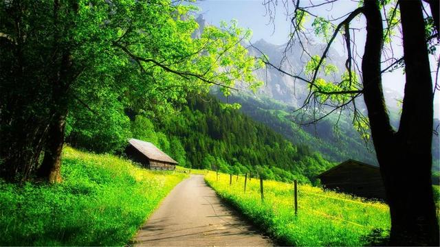 超清晰最美极致桌面壁纸(82张护眼电脑桌面壁纸)(69)