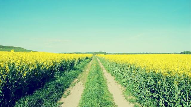 超清晰最美极致桌面壁纸(82张护眼电脑桌面壁纸)(51)