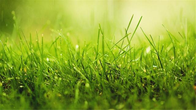 超清晰最美极致桌面壁纸(82张护眼电脑桌面壁纸)(34)