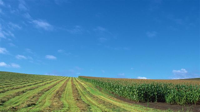 超清晰最美极致桌面壁纸(82张护眼电脑桌面壁纸)(36)