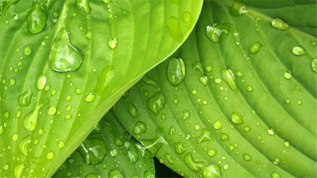 超清晰最美极致桌面壁纸(82张护眼电脑桌面壁纸)(45)