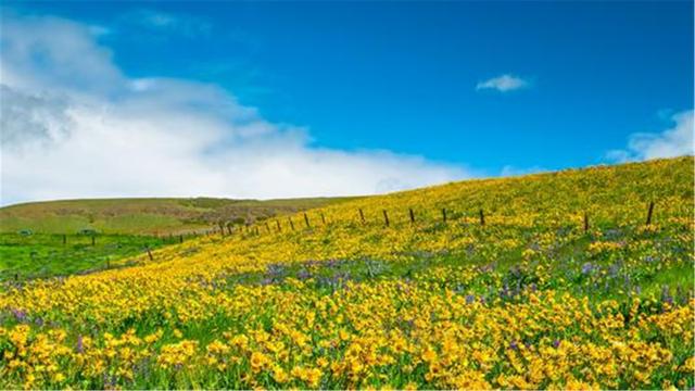 超清晰最美极致桌面壁纸(82张护眼电脑桌面壁纸)(81)