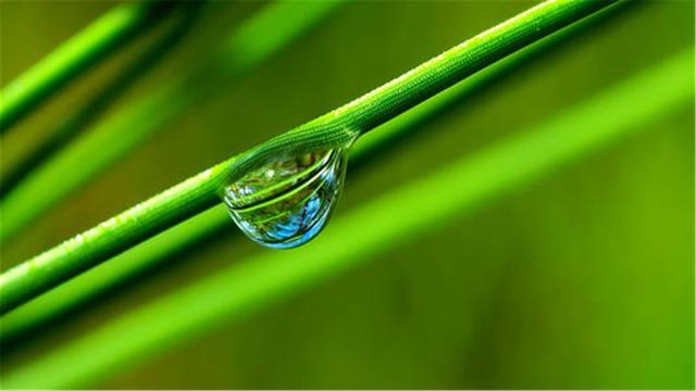 超清晰最美极致桌面壁纸(82张护眼电脑桌面壁纸)(78)