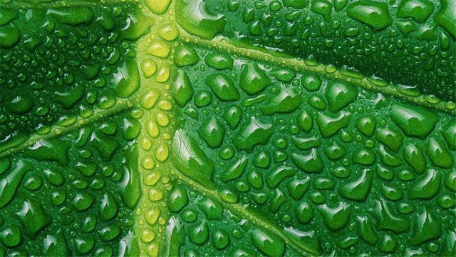 超清晰最美极致桌面壁纸(82张护眼电脑桌面壁纸)(64)