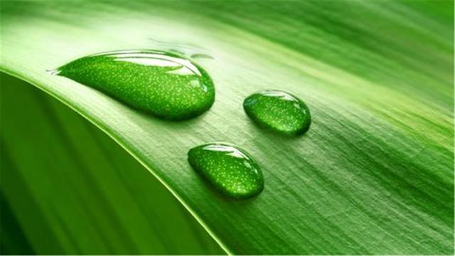 超清晰最美极致桌面壁纸(82张护眼电脑桌面壁纸)(80)