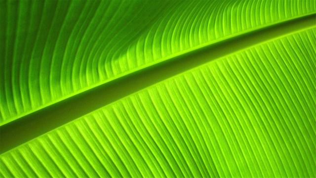 超清晰最美极致桌面壁纸(82张护眼电脑桌面壁纸)(31)