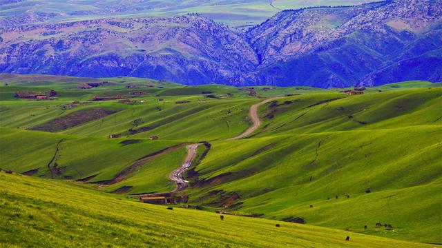 超清晰最美极致桌面壁纸(82张护眼电脑桌面壁纸)(10)