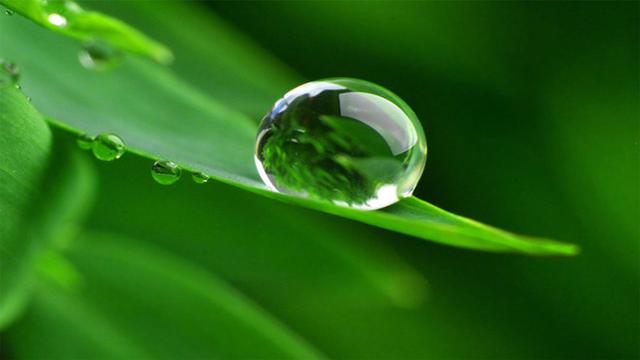 超清晰最美极致桌面壁纸(82张护眼电脑桌面壁纸)(14)