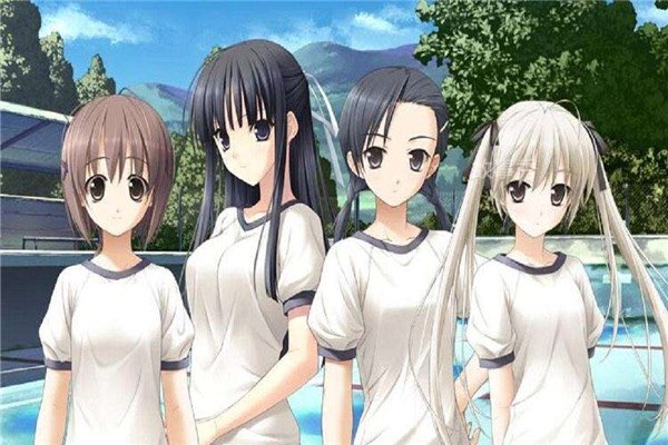 网络图片(侵删)