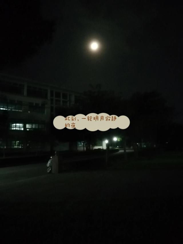 待在大学女生宿舍的夜晚(高三宿舍里骚动的青春难以平静)(4)