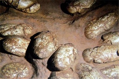 ​破灭龙：创造的化石都很混乱破灭（北美洲恐龙）