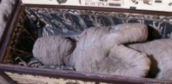 亚曼拉公主的咒骂是果然吗，亚曼拉公主当前在何处(泰坦尼克因此淹没)