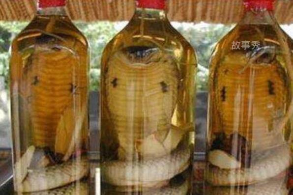 网络图片(侵删)